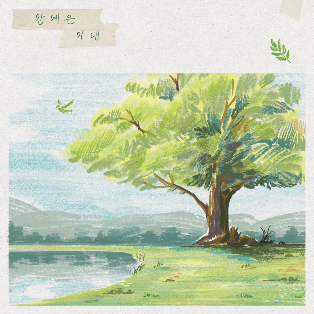 Image Cover